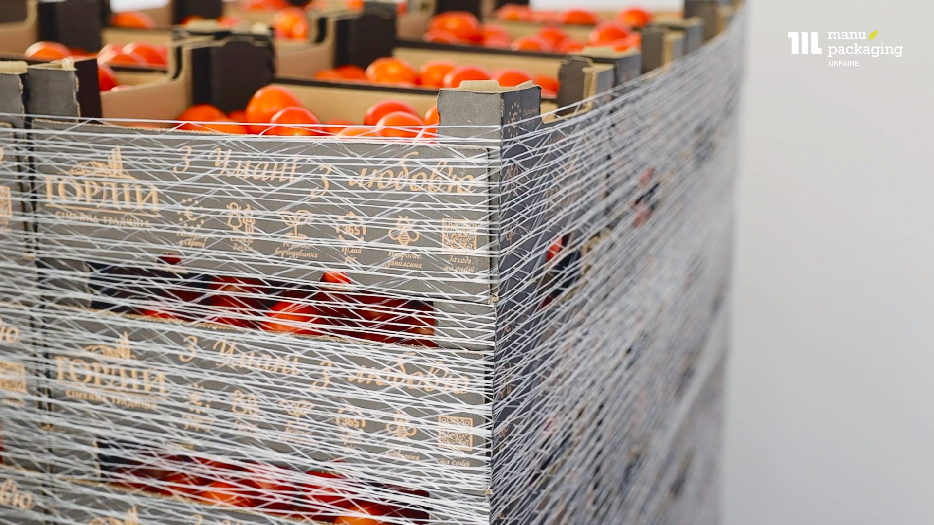 Ефективність пакування аграрної продукції