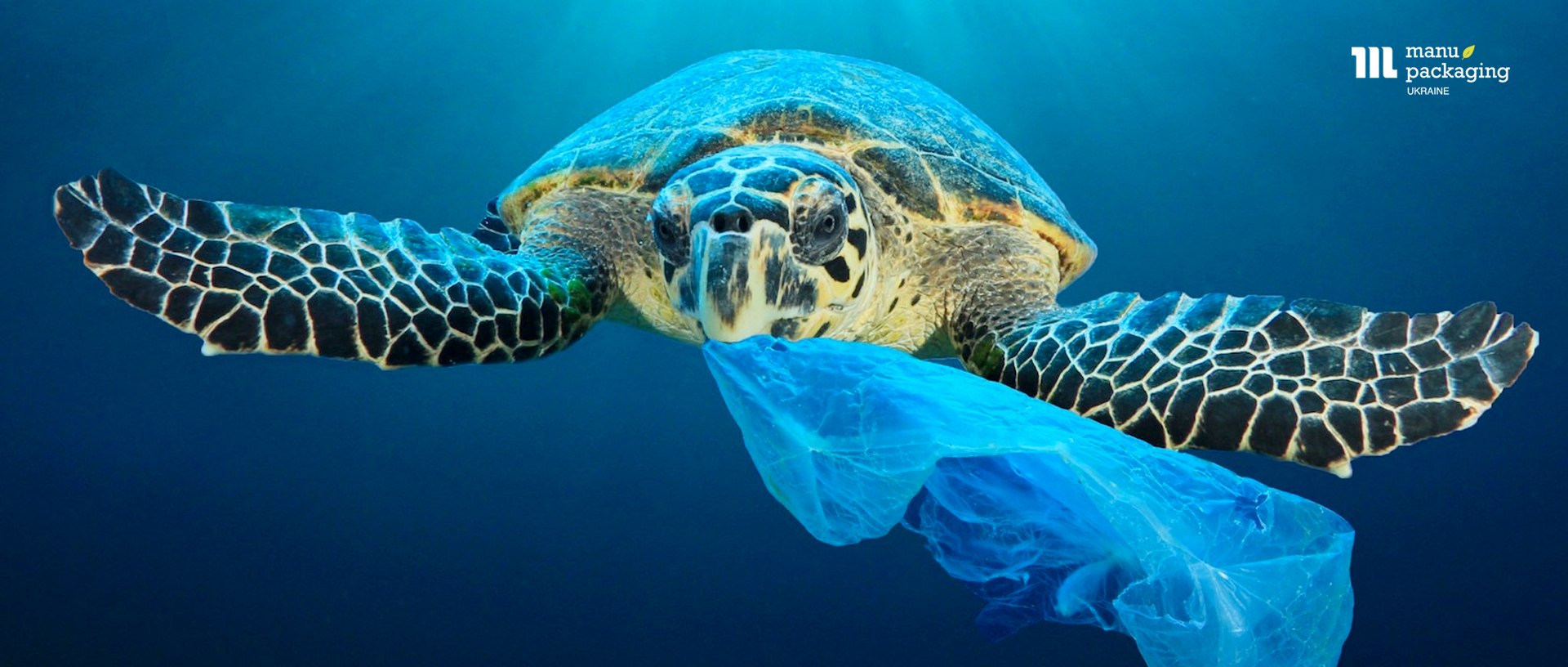 Биоразлагаемые материалы пленка