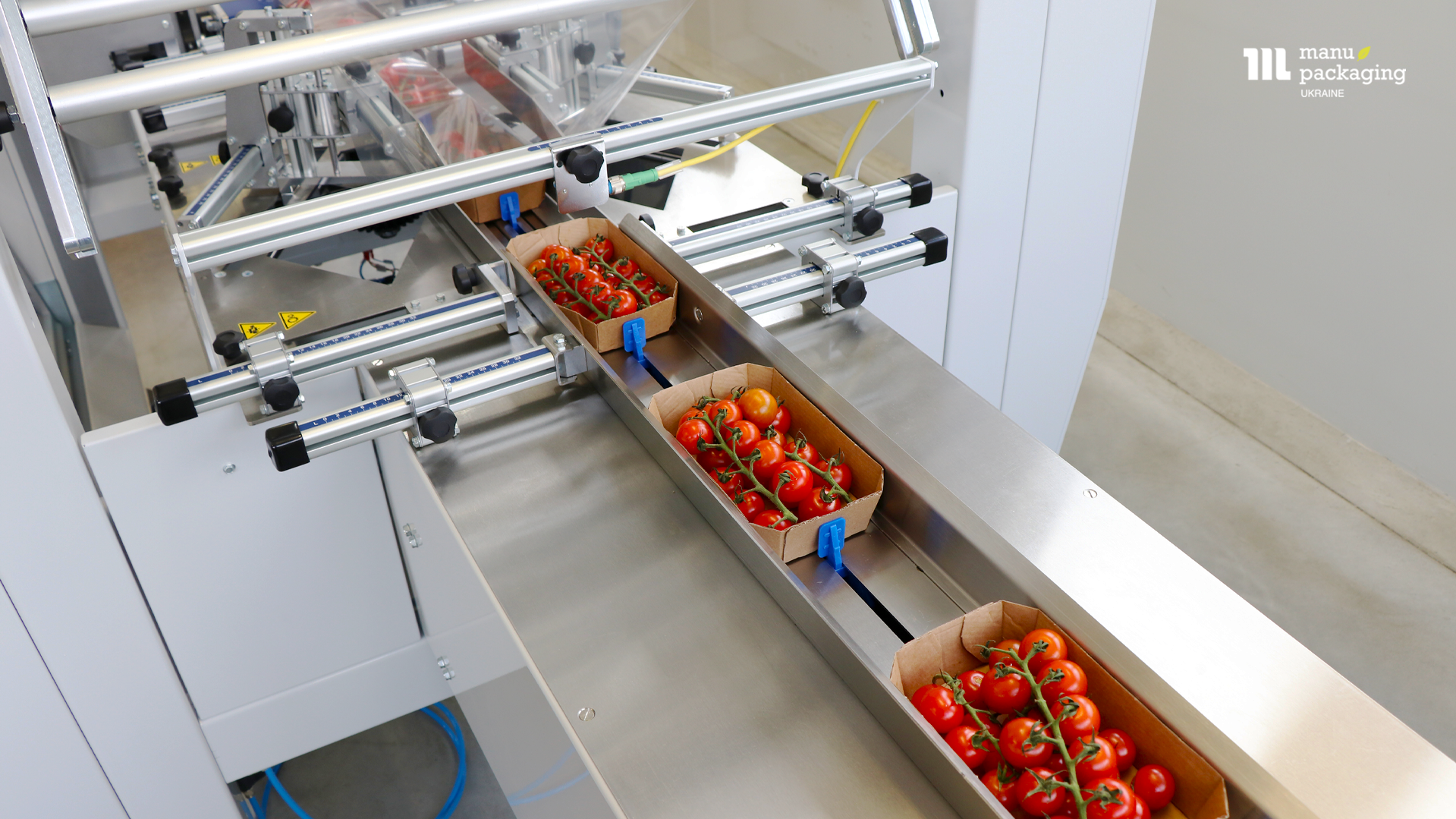 Що таке флоупак-пакування (Flow Pack)