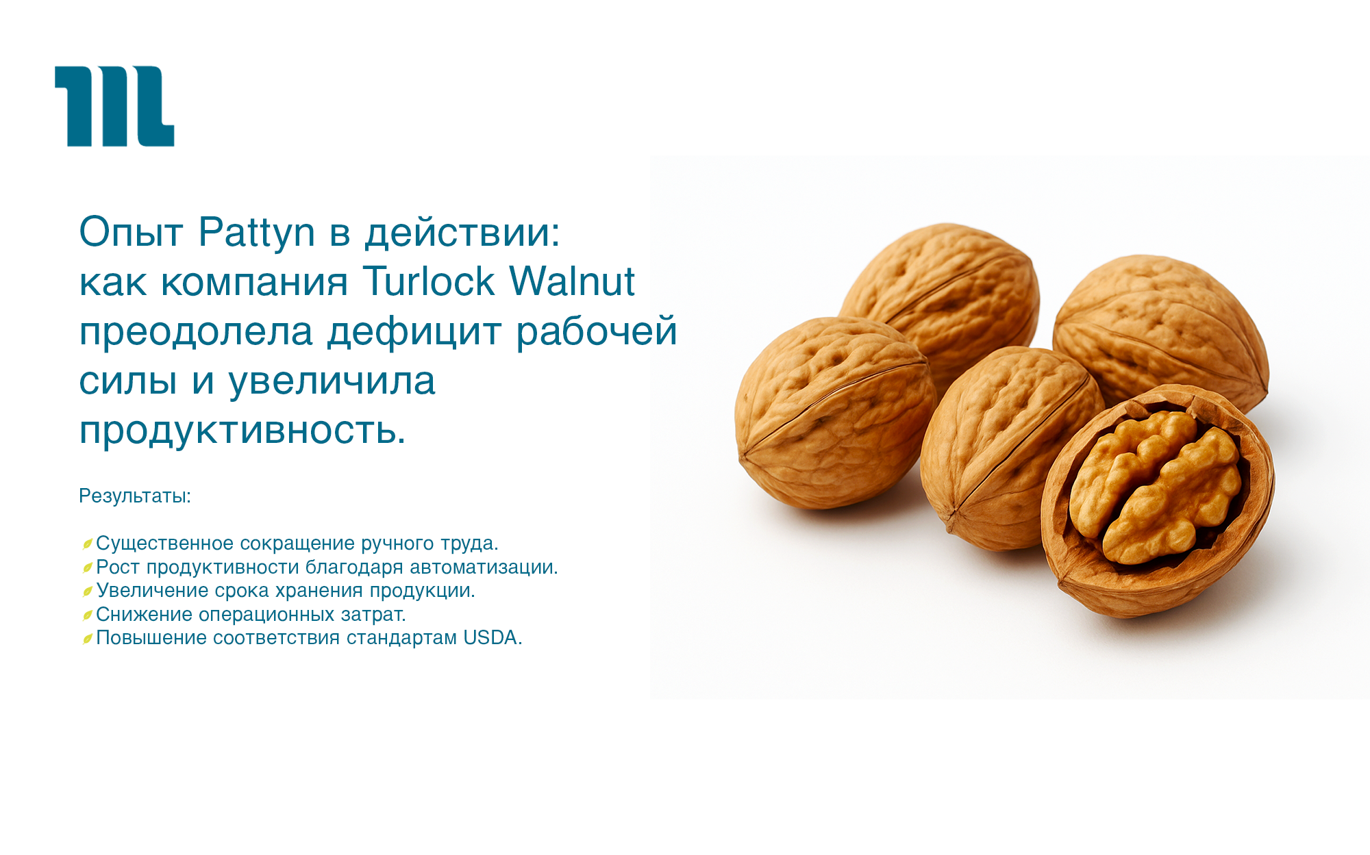 Опыт Pattyn в действии: как компания Turlock Walnut преодолела дефицит рабочей силы и увеличила продуктивность