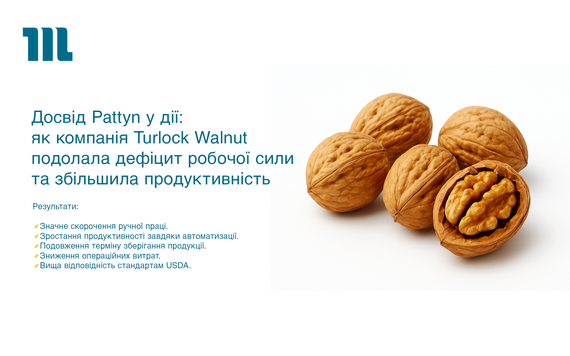 Turlock Walnut укр