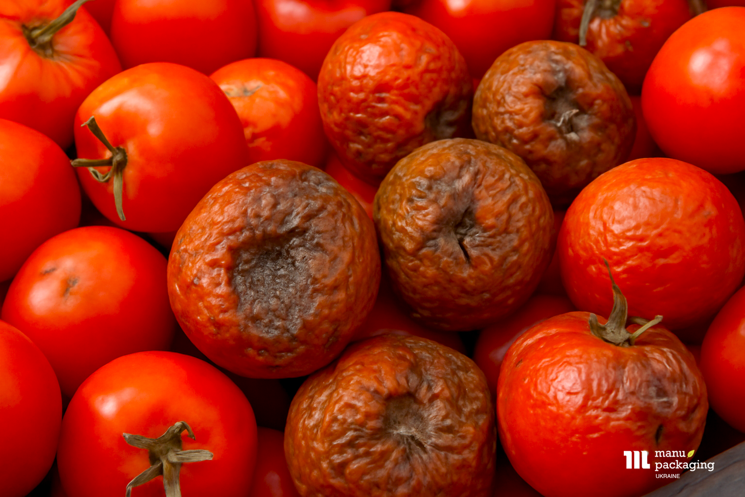 Палетна сітка допомагає не зіпсуватися продуктам