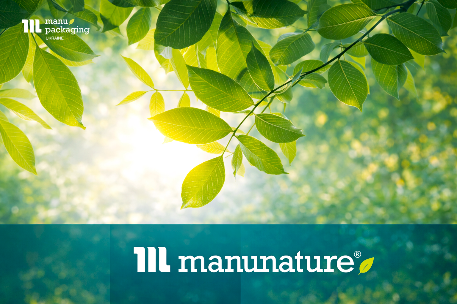 Биоразлагаемые и растительные материалы: как выбрать ответственную упаковку Биоразлагаемые и растительные материалы: как выбрать ответственную упаковку