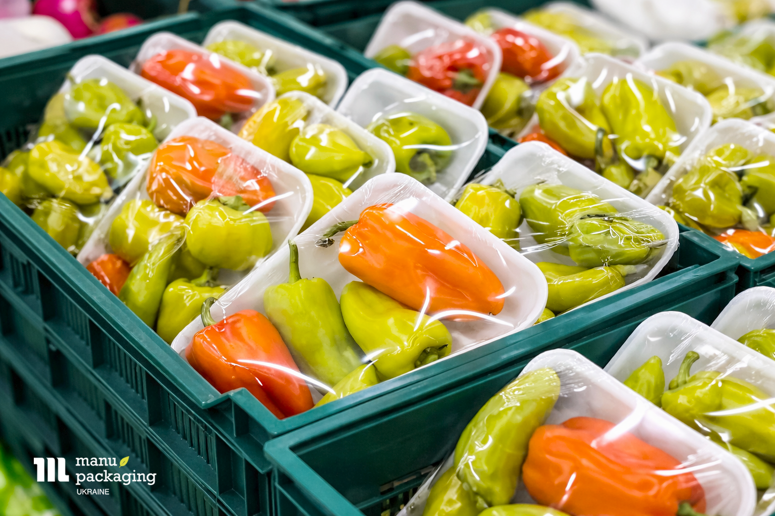 Чому зараз зростає попит на екологічну упаковку