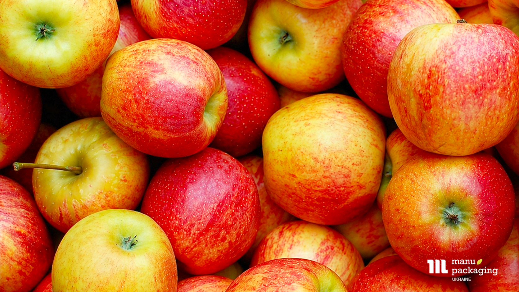 Чеклист для ефективного складу від приймання до відвантаження