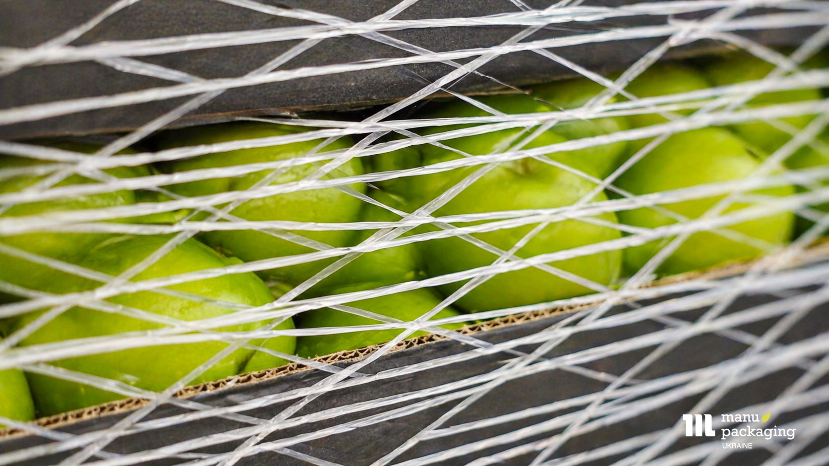 Санітарія чистота як фундамент безпеки